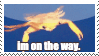 Crab